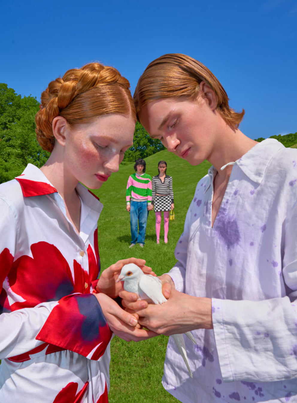 INSIDE OUR WORLD image